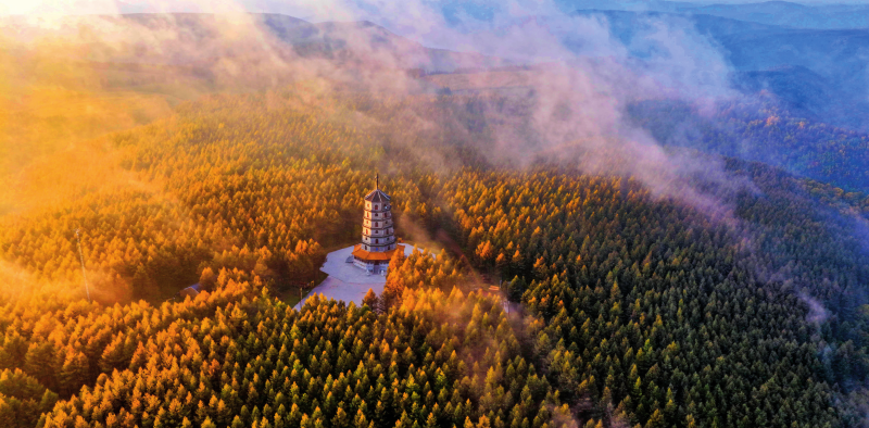 989d8d61949189a8f54bed12cb4b6d6e_101222254wmv.png 989d8d61949189a8f54bed12cb4b6d6e_101222254wmv.png